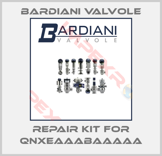 Bardiani Valvole-Repair kit for QNXEAAABAAAAA