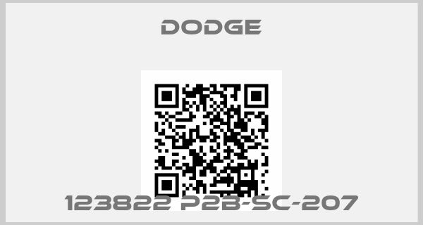 Dodge-123822 P2B-SC-207