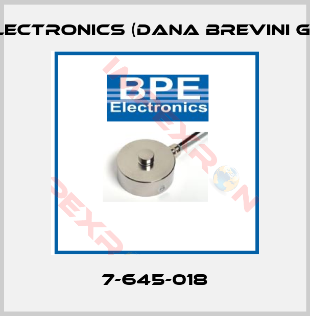BPE Electronics (Dana Brevini Group)-7-645-018