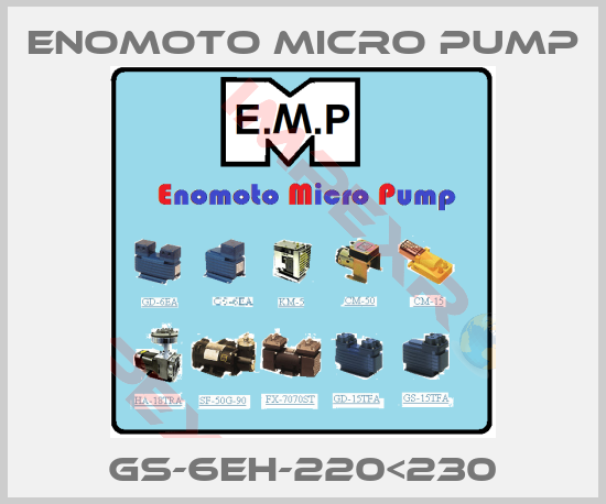 Enomoto Micro Pump-GS-6EH-220<230