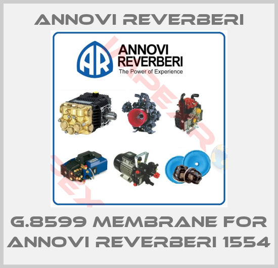 Annovi Reverberi-G.8599 membrane for Annovi Reverberi 1554