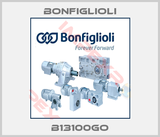 Bonfiglioli-B13100GO