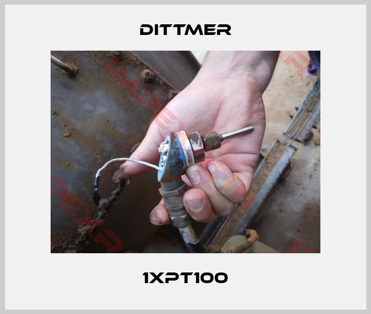 Dittmer-1xPT100