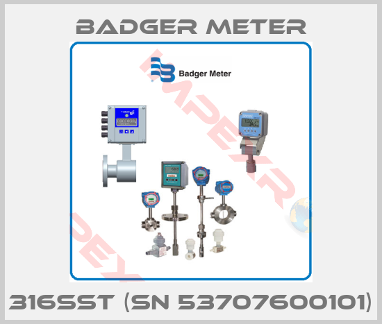 Badger Meter-316SST (SN 53707600101)
