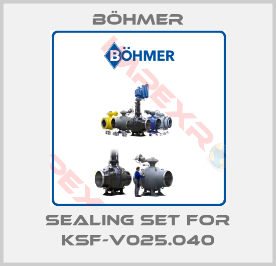 Böhmer-Sealing set for KSF-V025.040