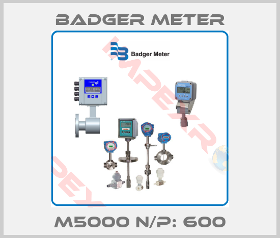 Badger Meter-m5000 N/P: 600
