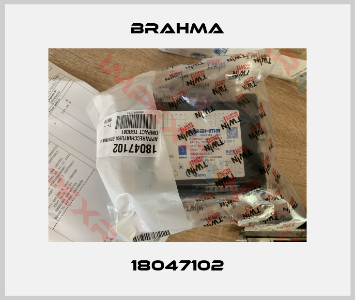Brahma-18047102
