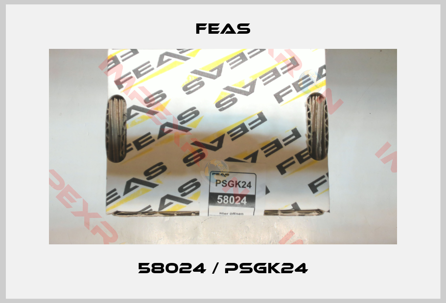 Feas-58024 / PSGK24