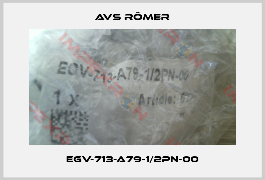 Avs Römer-EGV-713-A79-1/2PN-00