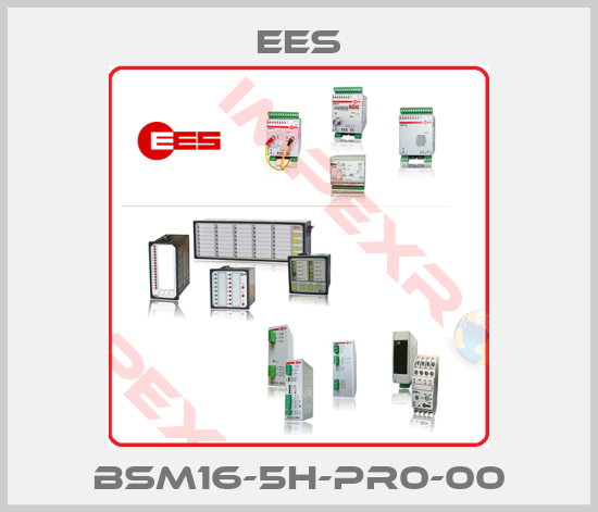 Ees-BSM16-5H-PR0-00