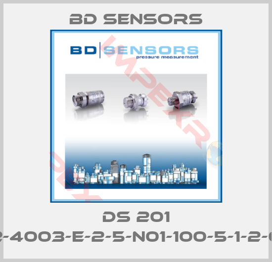 Bd Sensors-DS 201 (782-4003-E-2-5-N01-100-5-1-2-000)