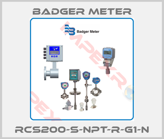 Badger Meter-RCS200-S-NPT-R-G1-N
