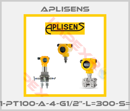 Aplisens-CT-GN1-Pt100-A-4-G1/2"-L=300-S=45-KZ