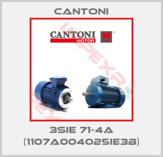 Cantoni-3SIE 71-4A (1107A004025IE3B)