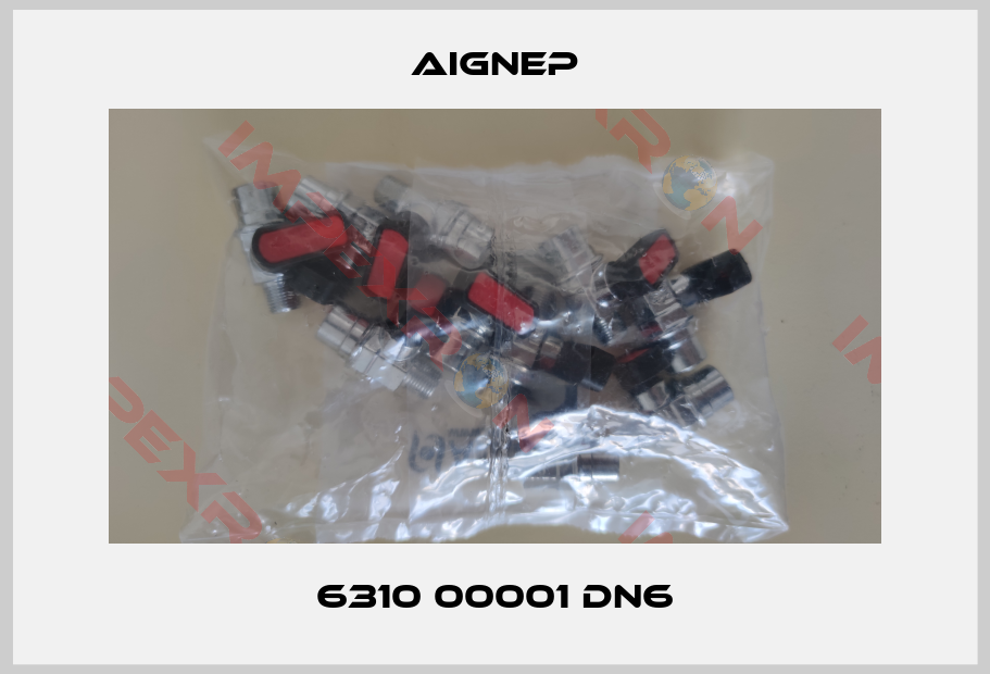 Aignep-6310 00001 DN6
