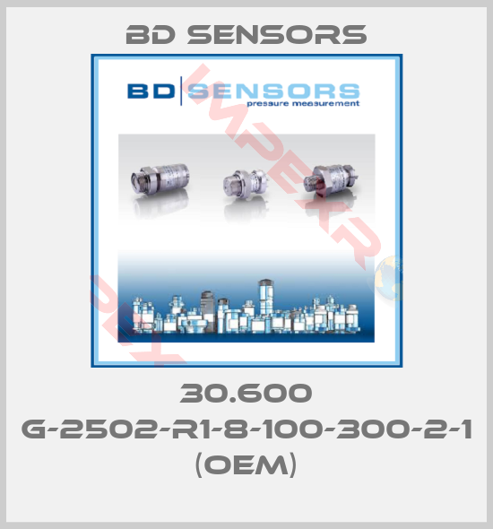 Bd Sensors-30.600 G-2502-R1-8-100-300-2-1 (OEM)