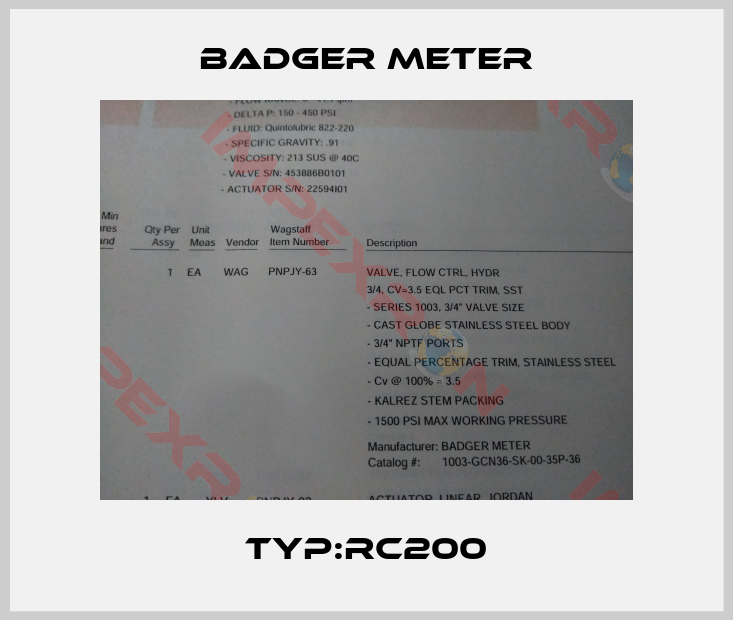 Badger Meter-Typ:RC200
