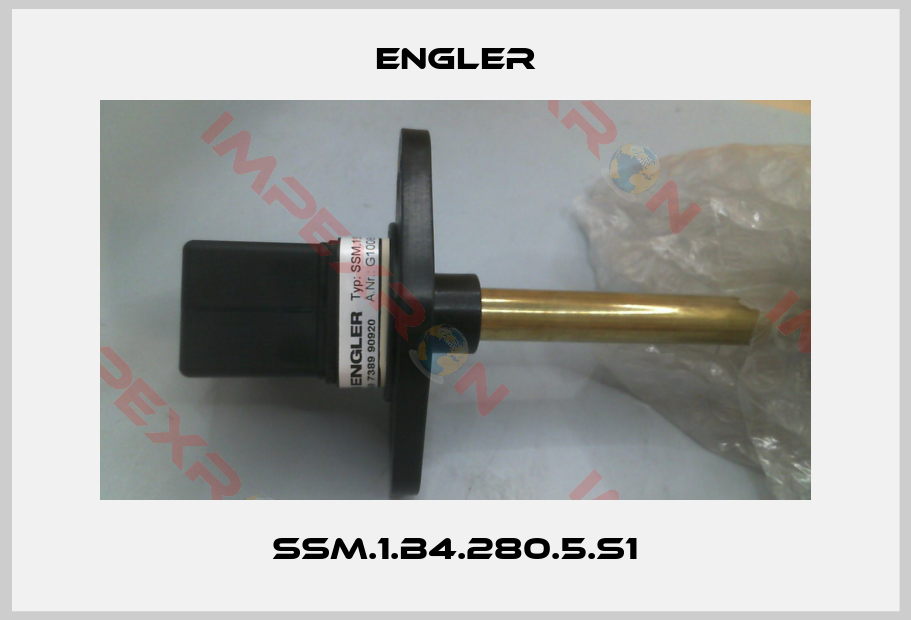 Engler-SSM.1.B4.280.5.S1