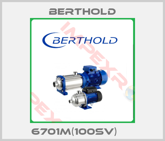 Berthold-6701M(100Sv)     
