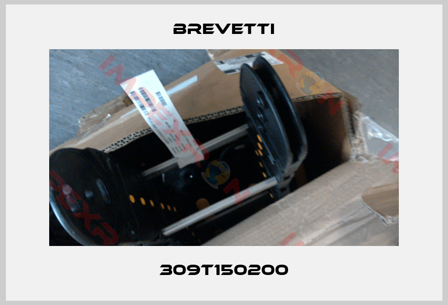 Brevetti-309T150200