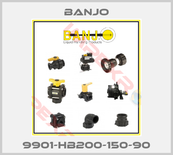 Banjo-9901-HB200-150-90