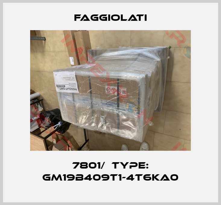 Faggiolati-7801/  Type: GM19B409T1-4T6KA0