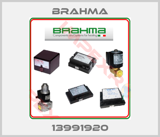 Brahma-13991920