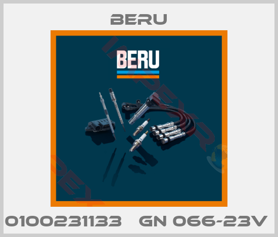 Beru-0100231133   GN 066-23V 