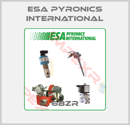 ESA Pyronics International-6BZR