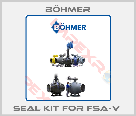 Böhmer-SEAL KIT FOR FSA-V 