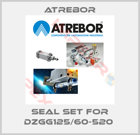 Atrebor-SEAL SET FOR DZGG125/60-520 