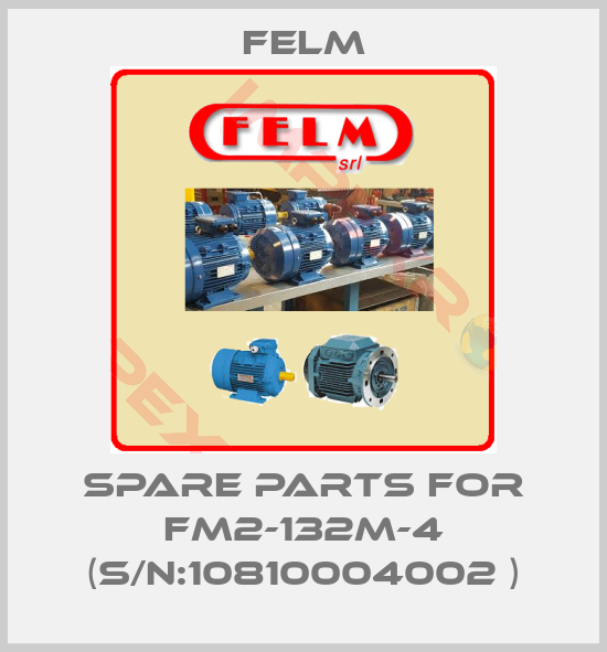 Felm-spare parts for FM2-132M-4 (S/N:10810004002 )