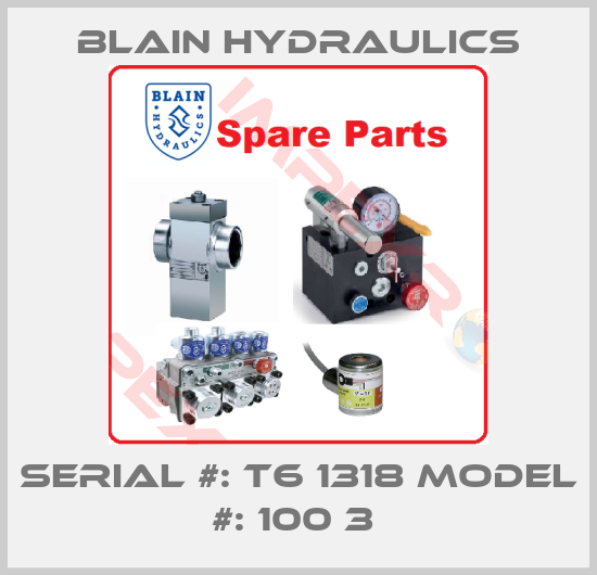 Blain Hydraulics-SERIAL #: T6 1318 MODEL #: 100 3 