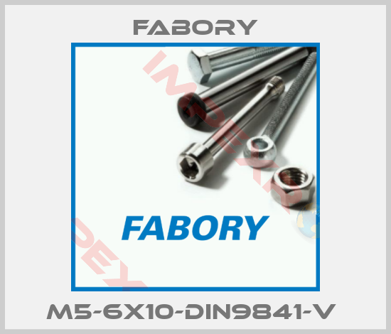 Fabory-M5-6X10-DIN9841-V 