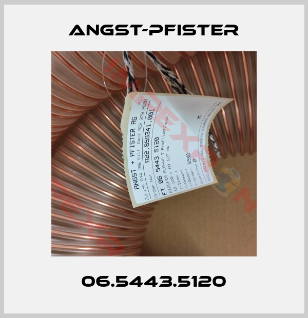 Angst-Pfister-06.5443.5120