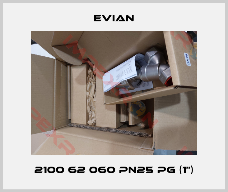 Evian-2100 62 060 PN25 PG (1”)