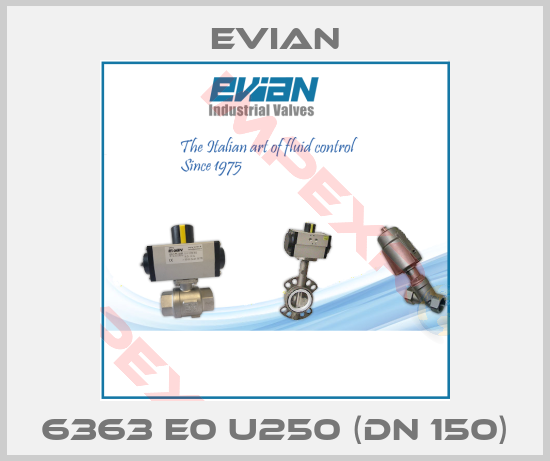 Evian-6363 E0 U250 (DN 150)