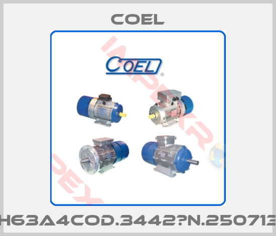 Coel-H63A4cod.3442　N.250713
