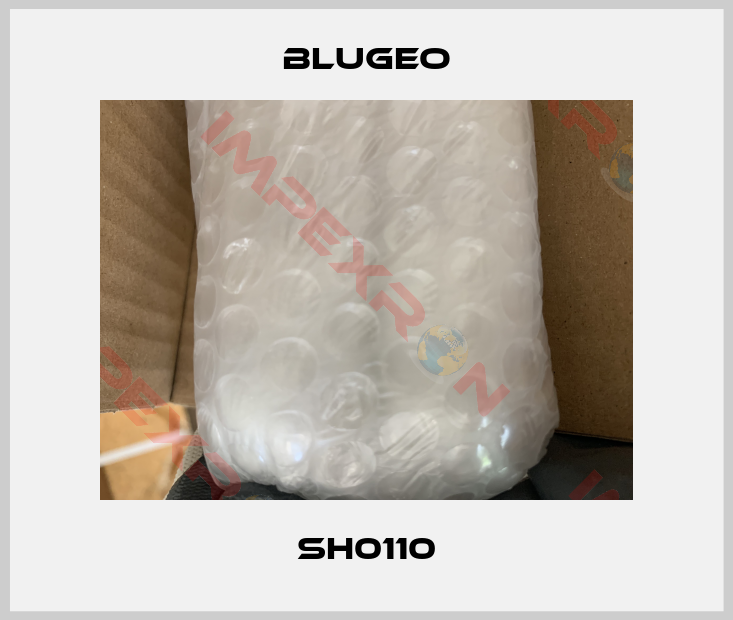 Blugeo-SH0110