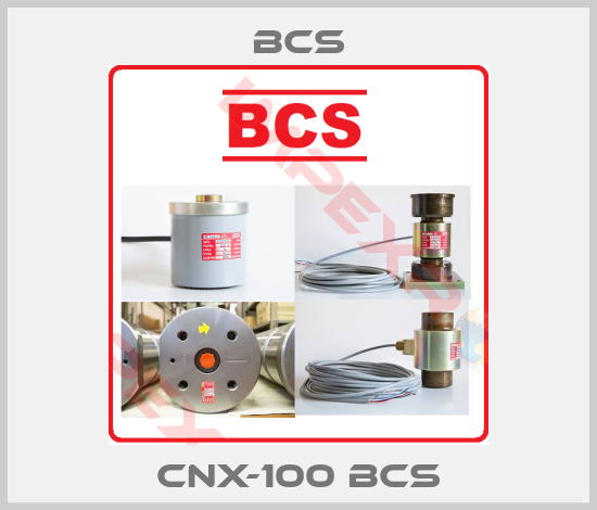 Bcs-CNX-100 BCS