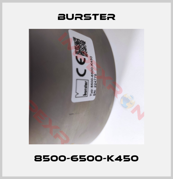 Burster-8500-6500-K450