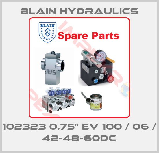 Blain Hydraulics-102323 0.75" EV 100 / 06 / 42-48-60DC