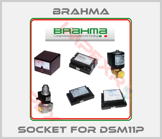 Brahma-Socket for DSM11P