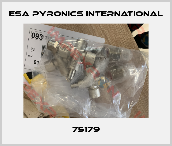 ESA Pyronics International-75179