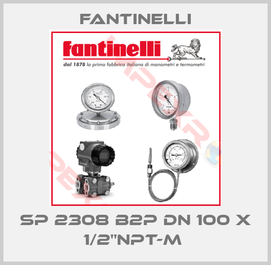 Fantinelli-SP 2308 B2P DN 100 X 1/2"NPT-M 