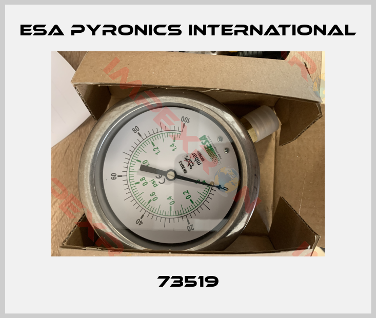 ESA Pyronics International-73519