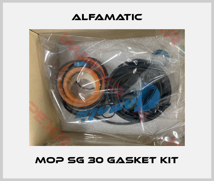 Alfamatic-MOP SG 30 GASKET KIT