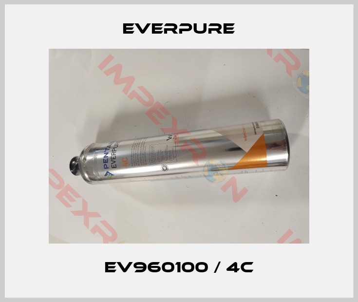 Everpure-EV960100 / 4C