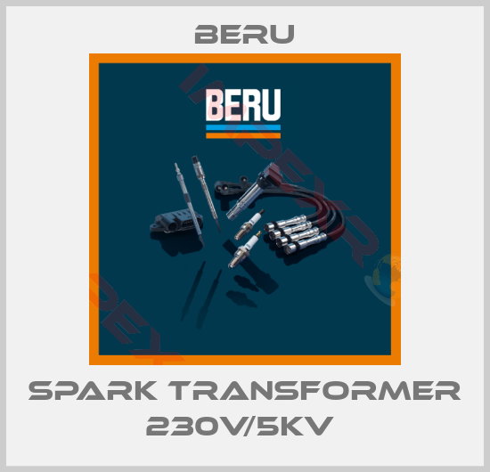 Beru-SPARK TRANSFORMER 230V/5KV 