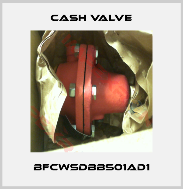 Cash Valve-BFCWSDBBS01AD1